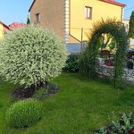 Арка садова робірна Вензеля ОПТ